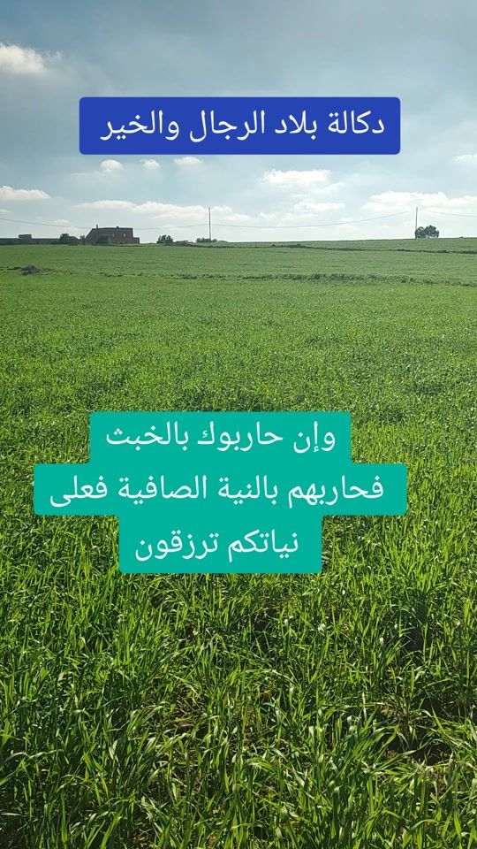 TikTok video thumbnail by abdo_ljadidi