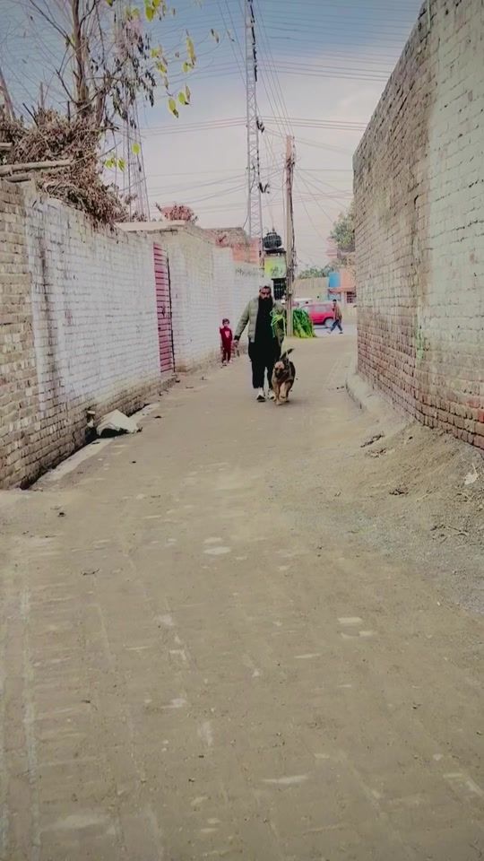 TikTok video thumbnail by shaheenboxer4