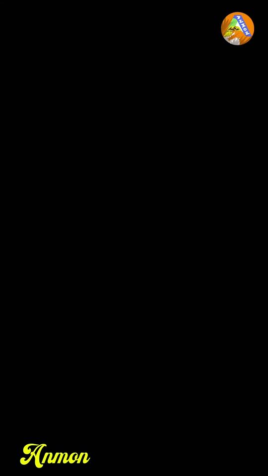 TikTok video thumbnail by anmon.a