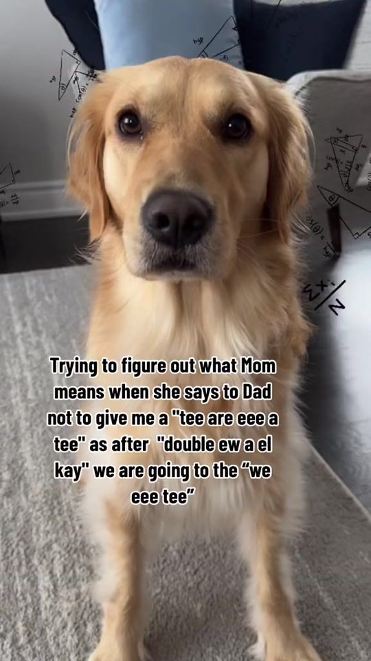 TikTok video thumbnail by rayathegoldo