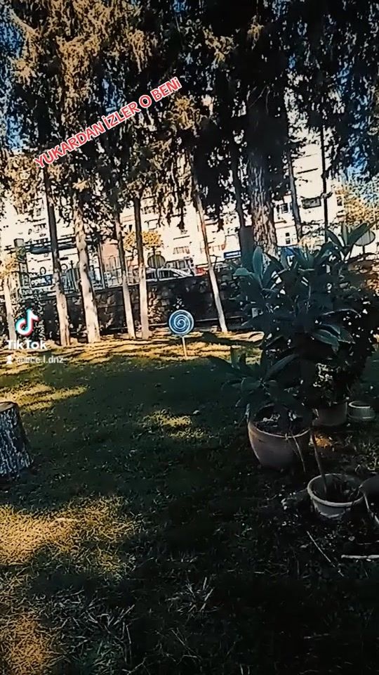 TikTok video thumbnail by ece.l.dnz.163416