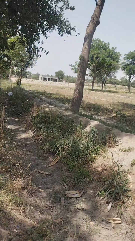 TikTok video thumbnail by bazigar45aa