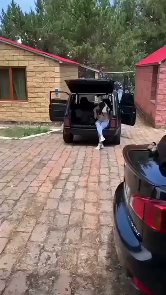 TikTok video thumbnail by niva_sirox_txa