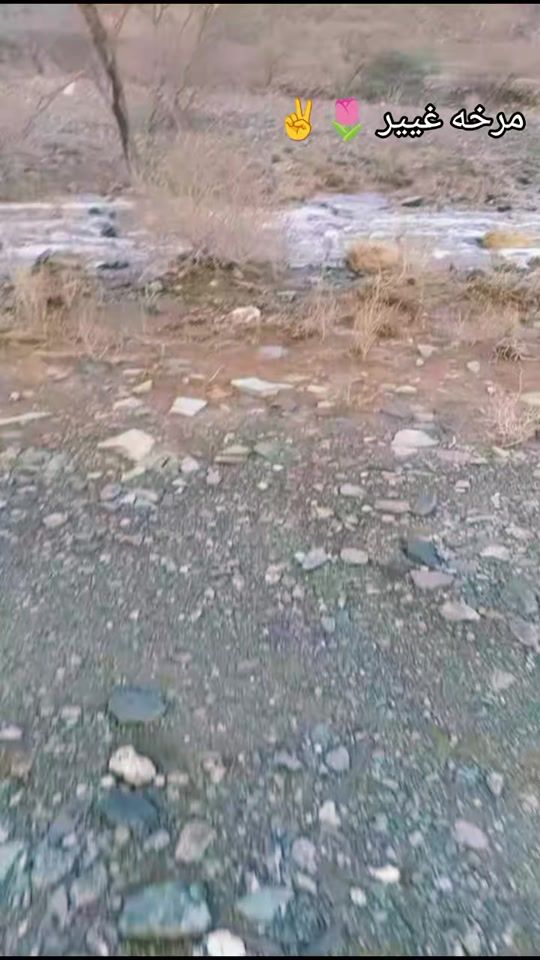 TikTok video thumbnail by pig39nn