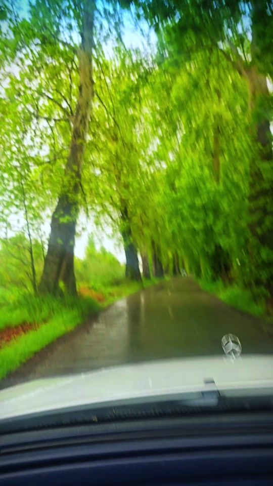 TikTok video thumbnail by agdas_anar