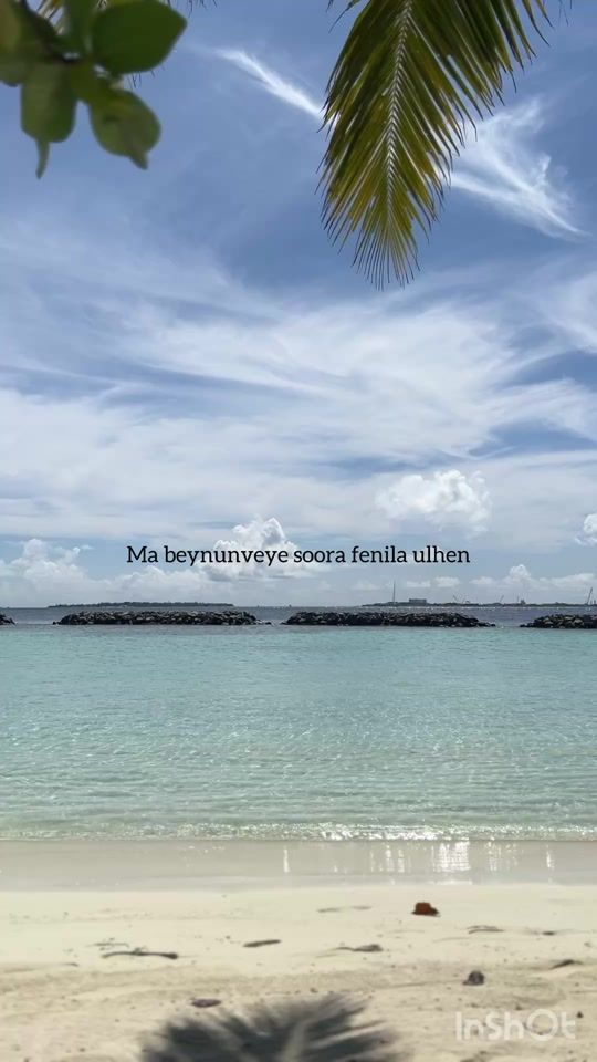 TikTok video thumbnail by anthophile28