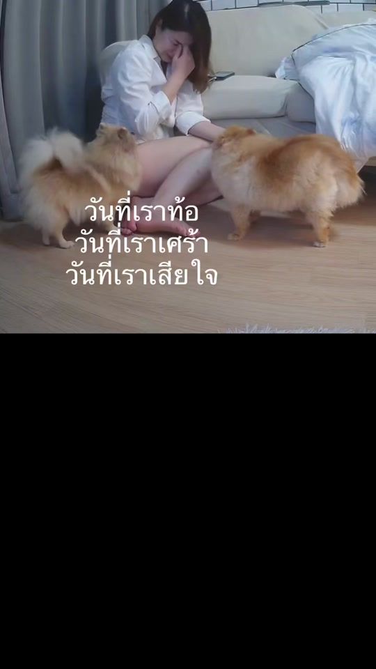 TikTok video thumbnail by zalaporvip56