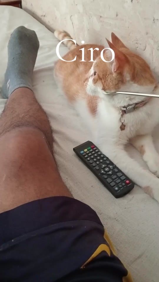 TikTok video thumbnail by bombaalegre