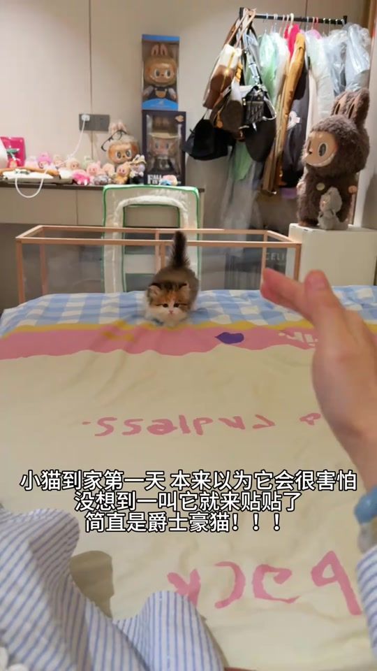 TikTok video thumbnail by heyan_lin
