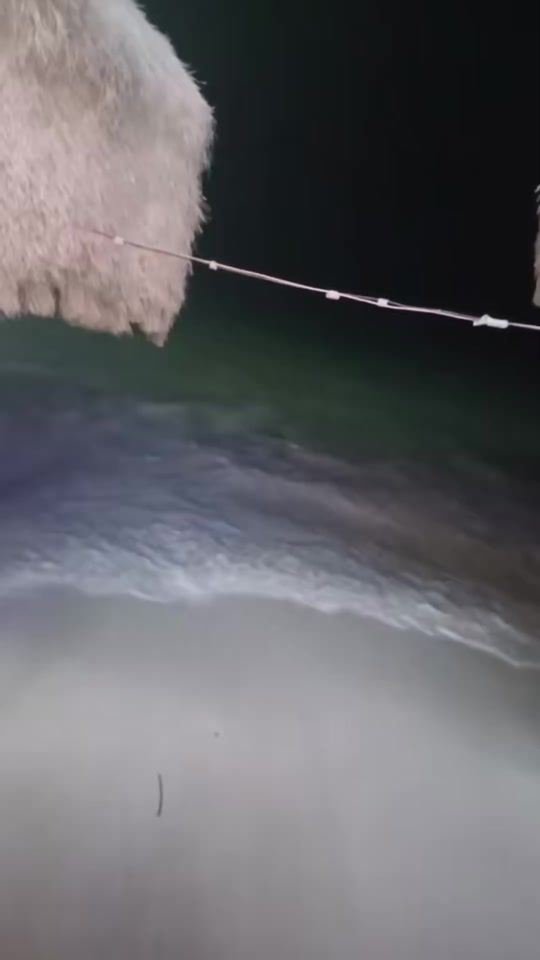 TikTok video thumbnail by gooshamaxadbarre