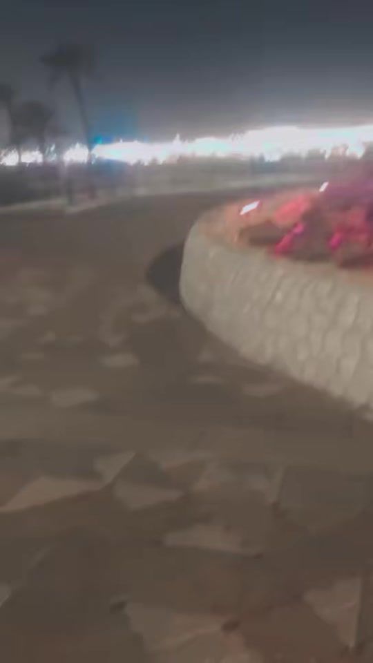 TikTok video thumbnail by mae30__92