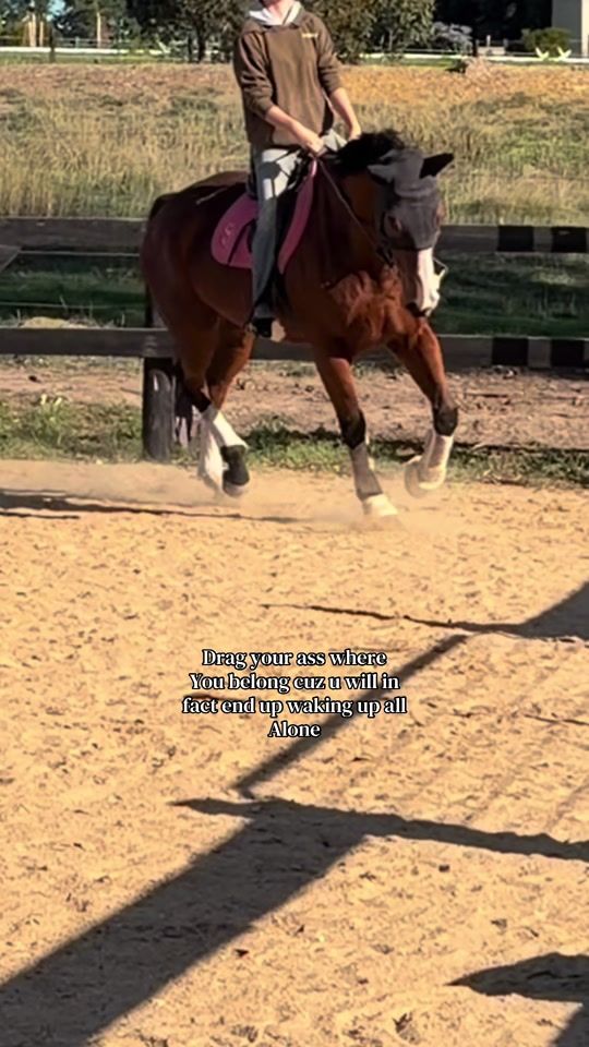 TikTok video thumbnail by thecrazy.geldings