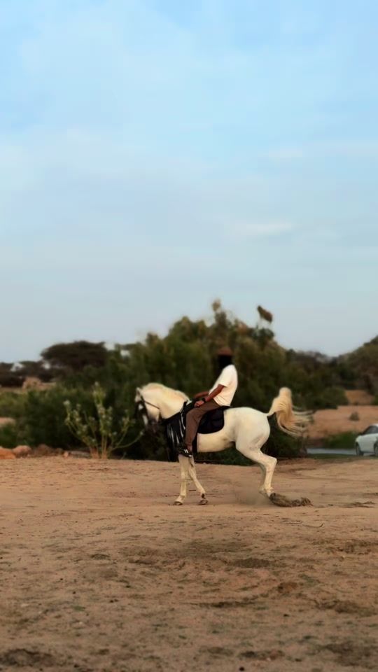 TikTok video thumbnail by saiif5.5