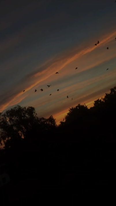 TikTok video thumbnail by letra_music23