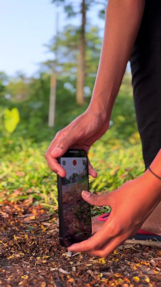TikTok video thumbnail by vanishasherly