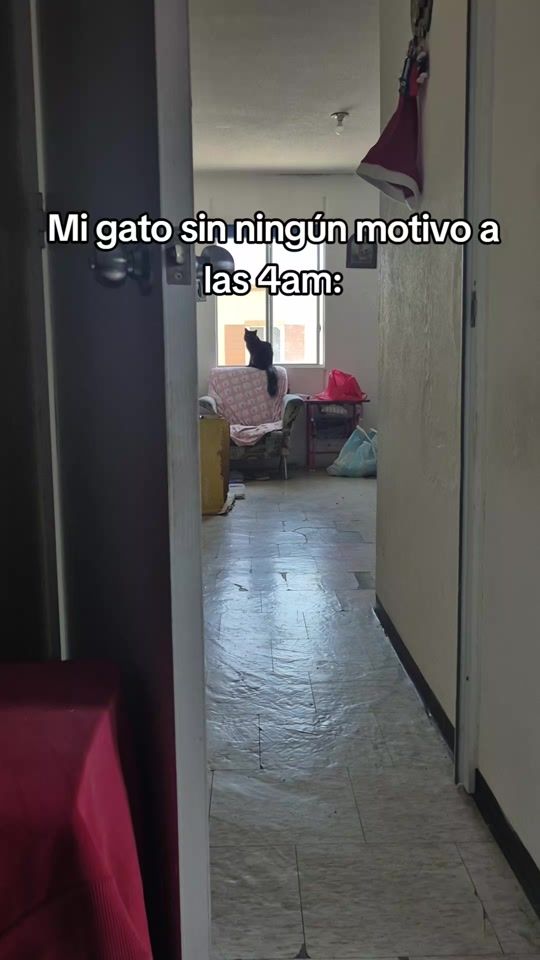 TikTok video thumbnail by henrykicon_