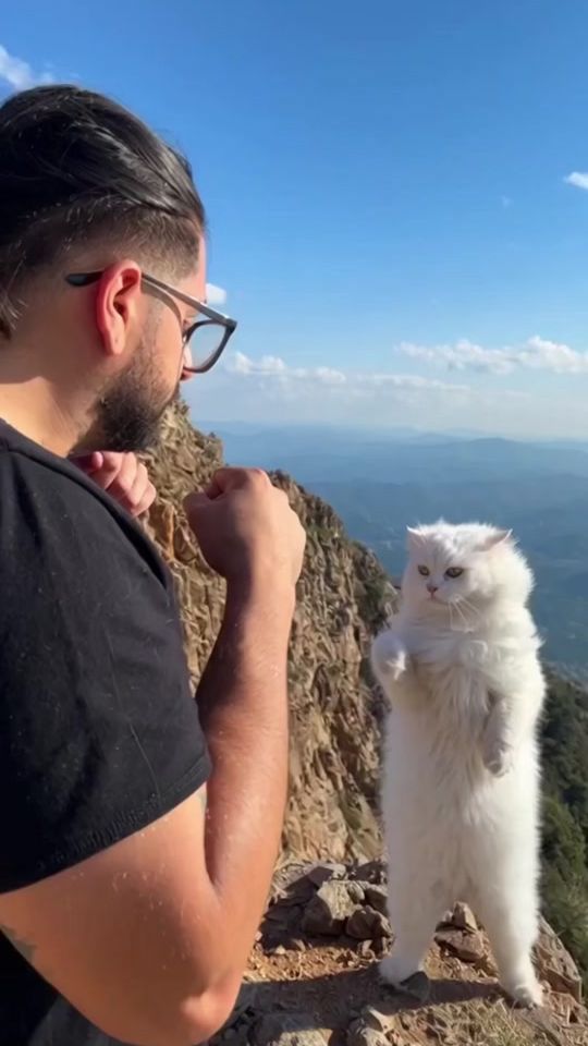 TikTok video thumbnail by benjasorich