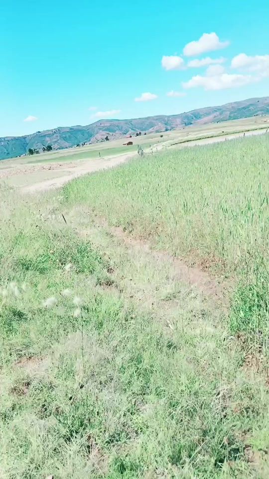 TikTok video thumbnail by mariolefernandez467