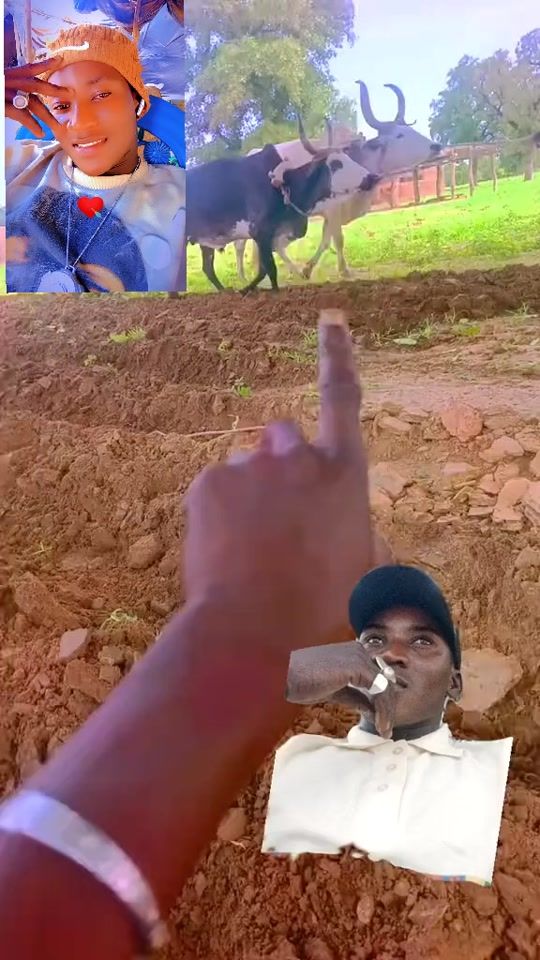 TikTok video thumbnail by user269979336685