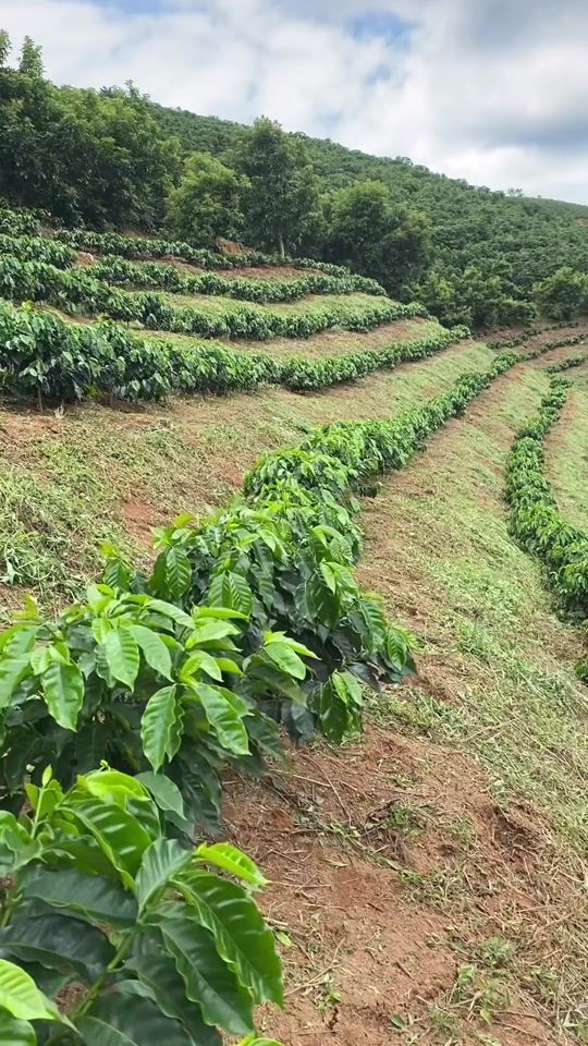 TikTok video thumbnail by saliousecksaliou731gmail