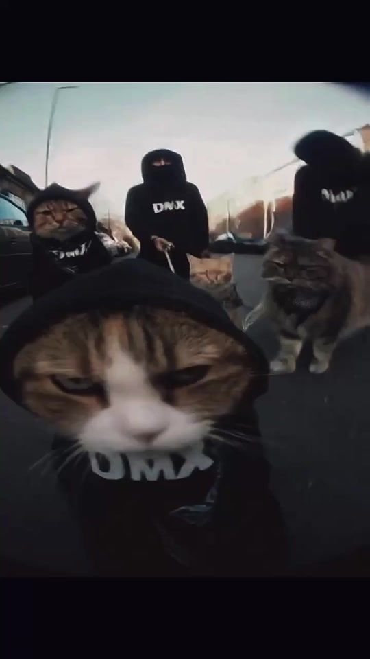 TikTok video thumbnail by galasarchives