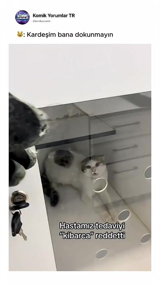 TikTok video thumbnail by komikyorumtr0