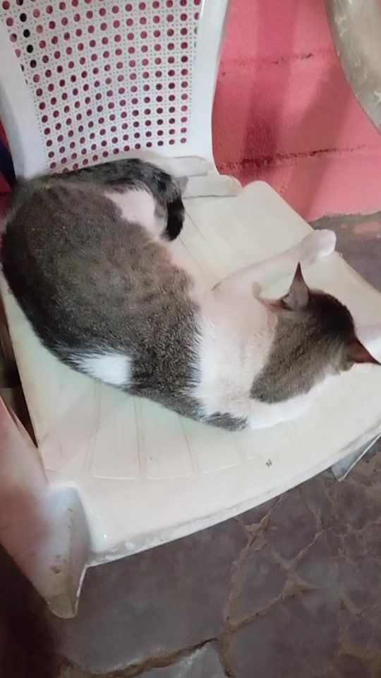 TikTok video thumbnail by chepeluis7