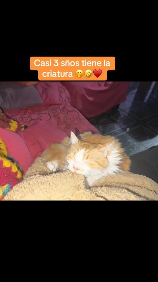 TikTok video thumbnail by nataliaoses20