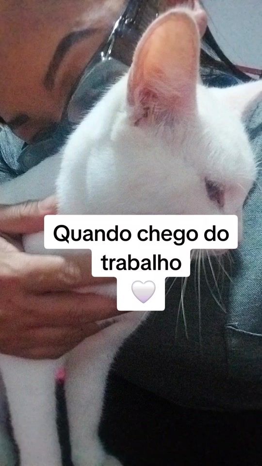 TikTok video thumbnail by aneanveres03