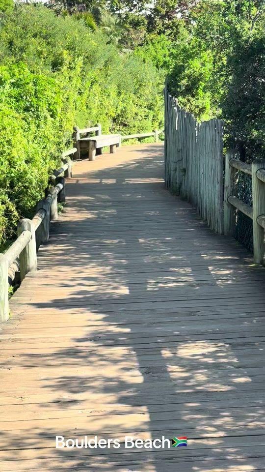 TikTok video thumbnail by dumisanithehiker