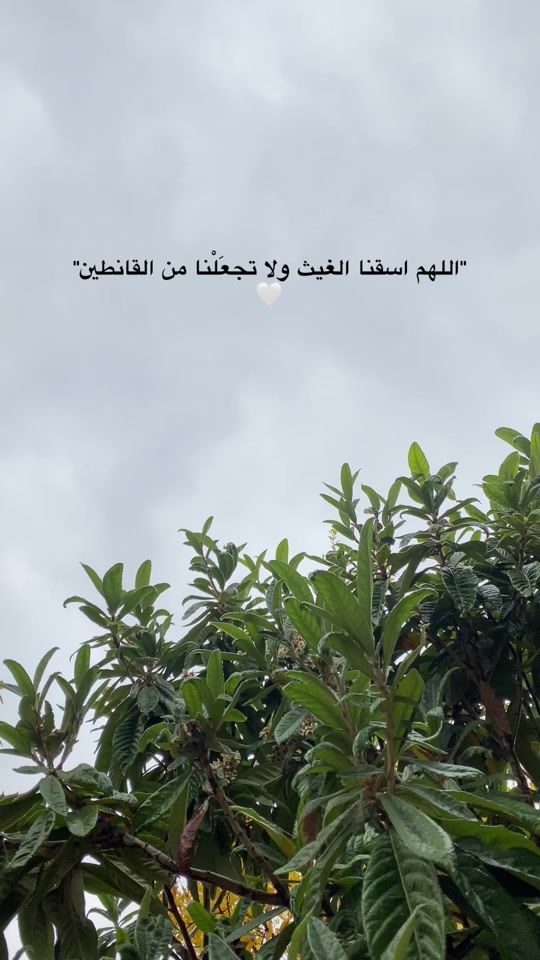 TikTok video thumbnail by 1.arami.1