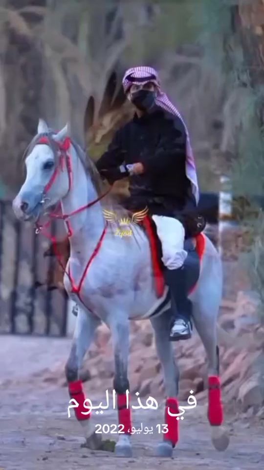 TikTok video thumbnail by zioud