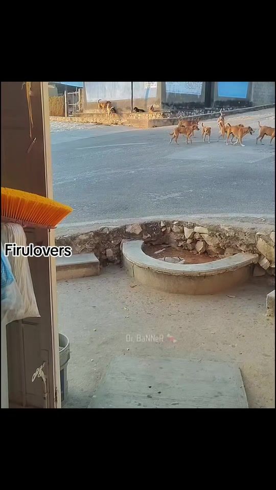 TikTok video thumbnail by firuloverscore