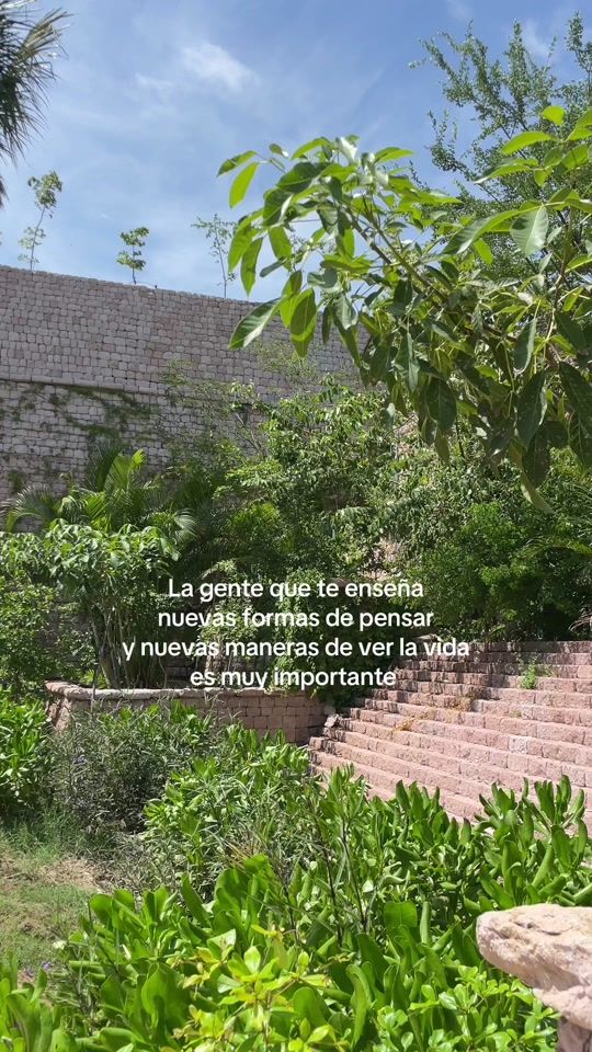 TikTok video thumbnail by toramparque