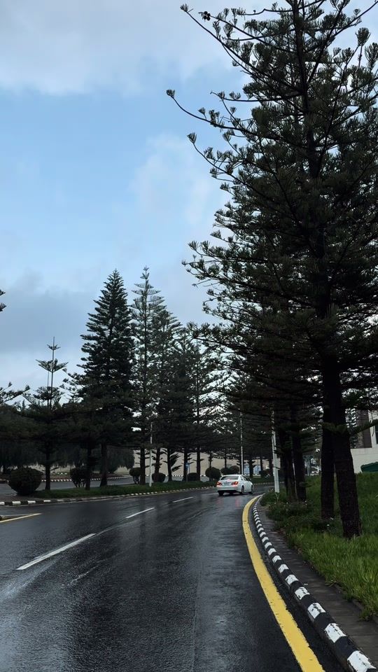 TikTok video thumbnail by abha.r