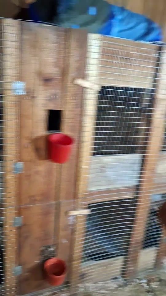 TikTok video thumbnail by cocheira_do_fio