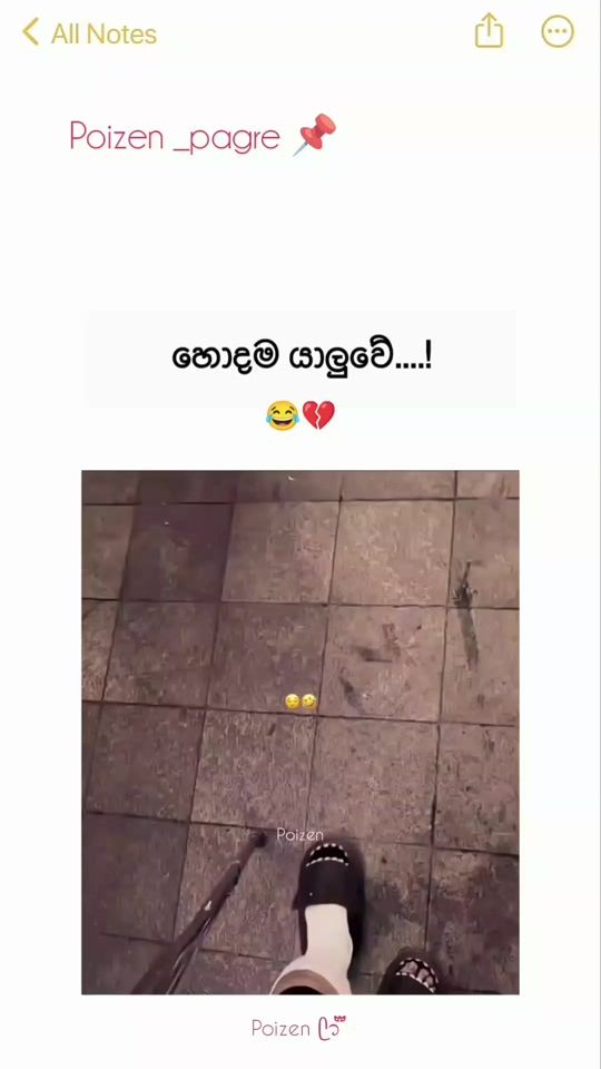 TikTok video thumbnail by poizen_page_1