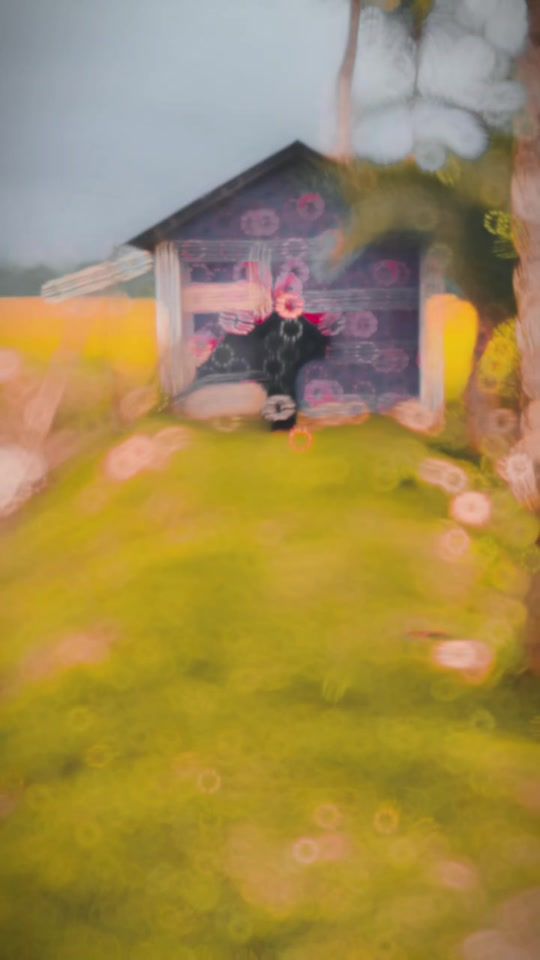 TikTok video thumbnail by etty.here5