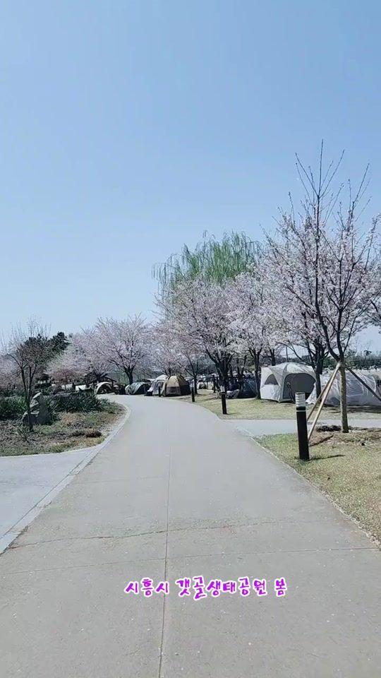 TikTok video thumbnail by khs522