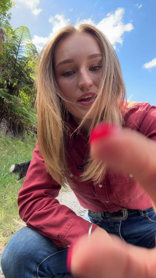 TikTok video thumbnail by themollyexpress