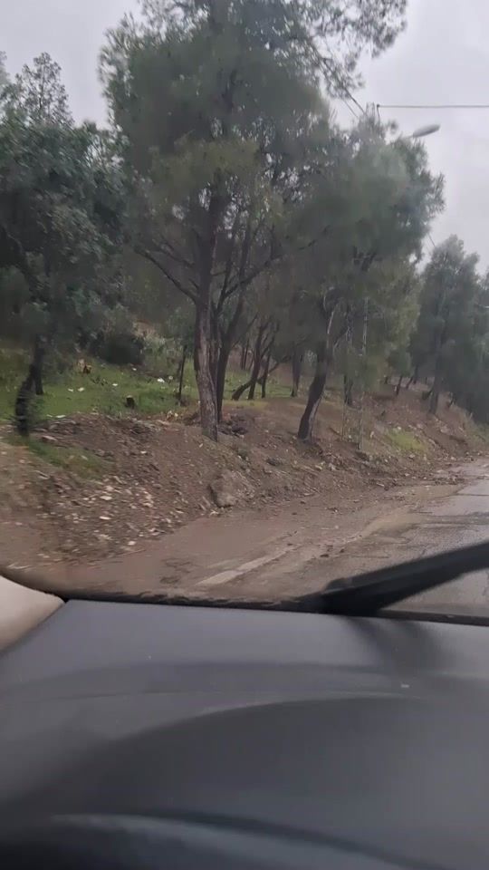 TikTok video thumbnail by sa.bri0