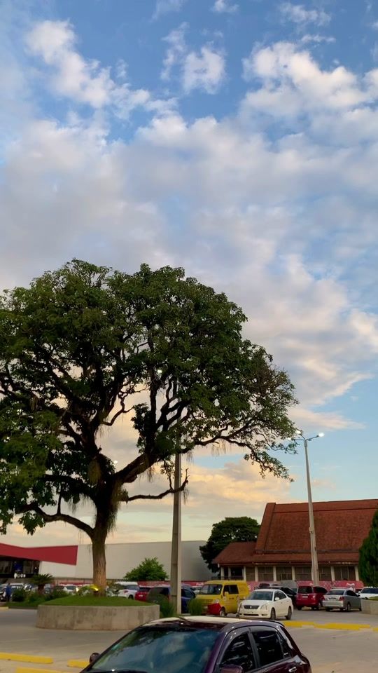 TikTok video thumbnail by junior_aguero