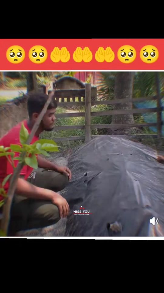 TikTok video thumbnail by mdalimoni6