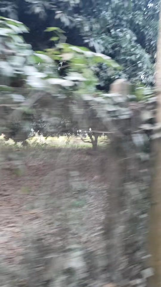 TikTok video thumbnail by agnesh_subba