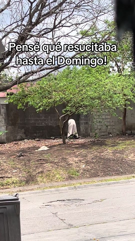 TikTok video thumbnail by richypalacios