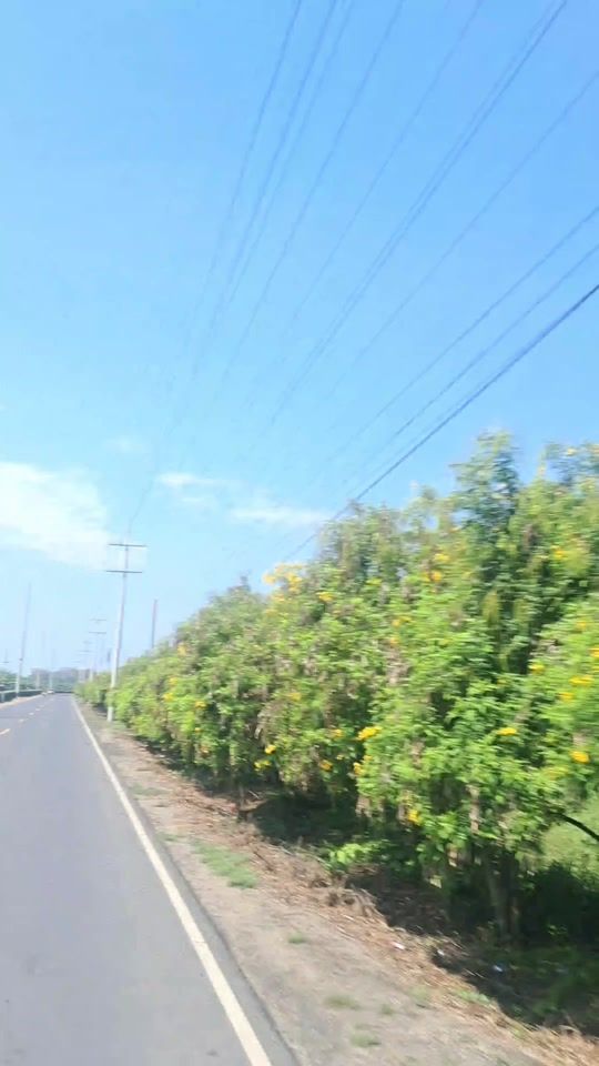 TikTok video thumbnail by chinojacinto1