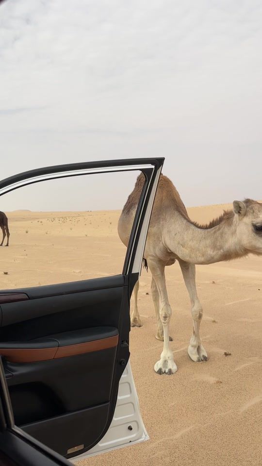 TikTok video thumbnail by m4rri_1