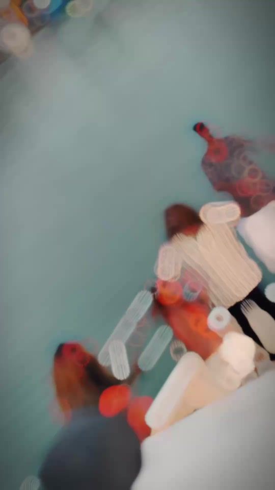 TikTok video thumbnail by shehansteely619