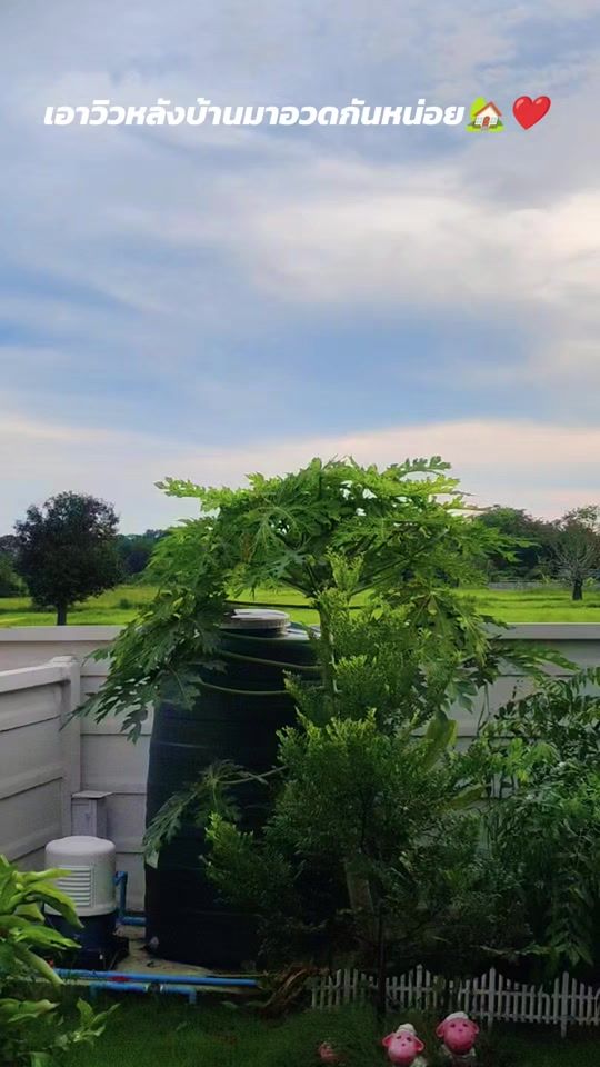 TikTok video thumbnail by pawit_tiktok