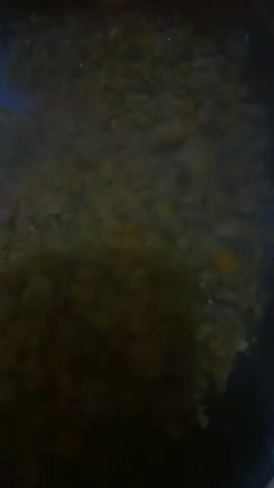 TikTok video thumbnail by oyastyle1